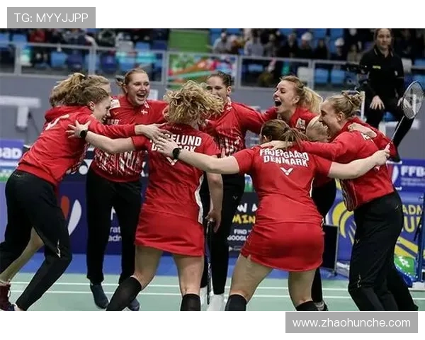 南京羽毛球队在欧锦赛中的精彩表现与节奏掌控分析 南京羽毛球队在欧锦赛中的精彩表现与节奏掌控分析