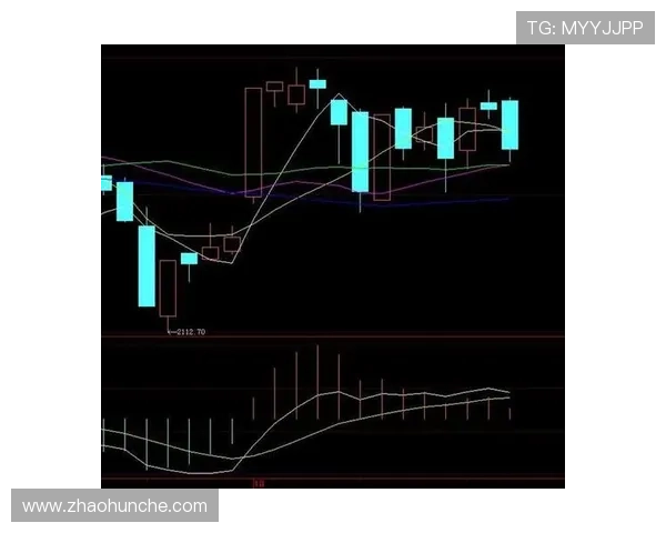 西安羽毛球队防守策略分析与比赛表现的得失总结 西安羽毛球队防守策略分析与比赛表现的得失总结